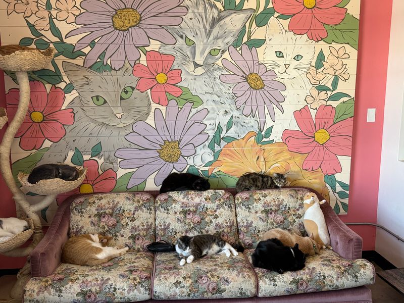 A Growing Movement in Oklahoma City