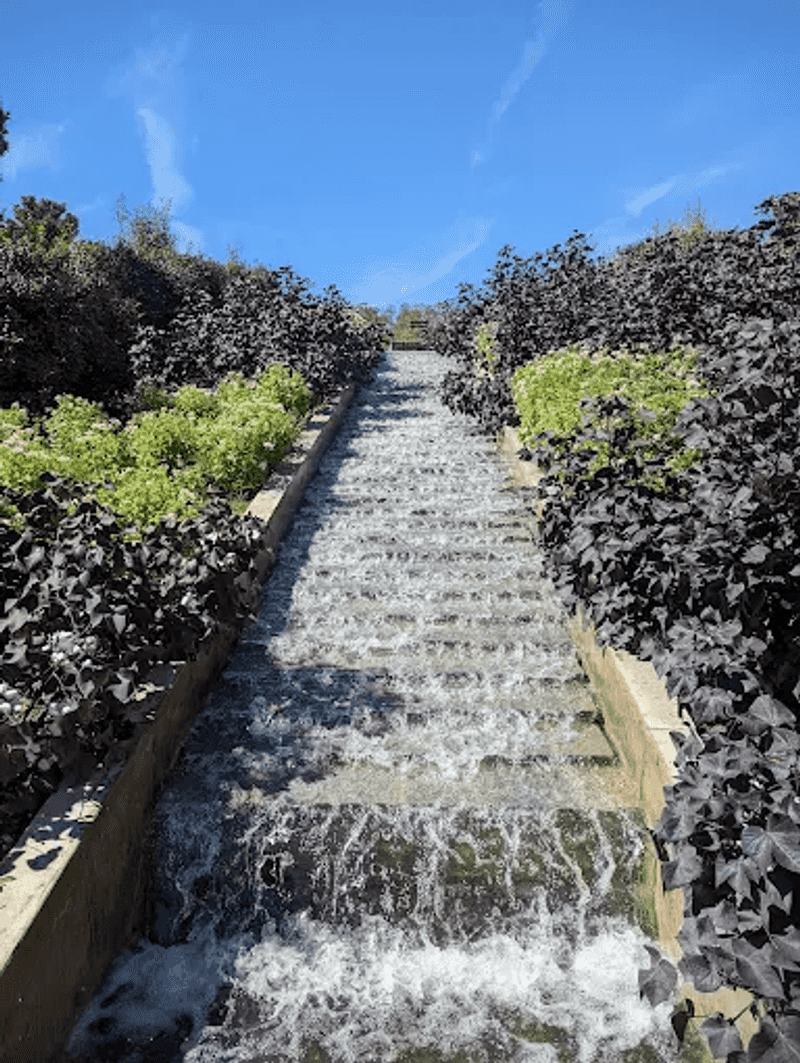 The Resident Garden Cat