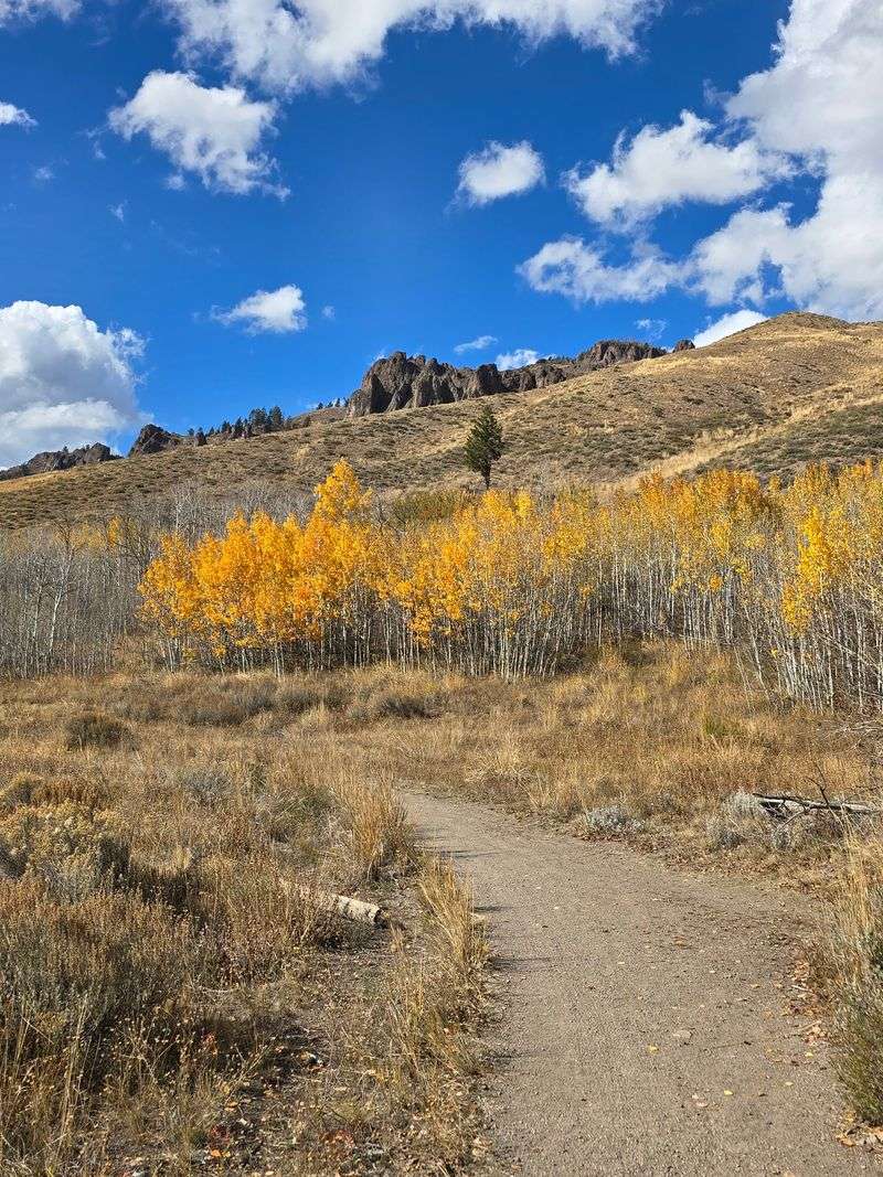 Adams Gulch Trailhead (just outside Ketchum)