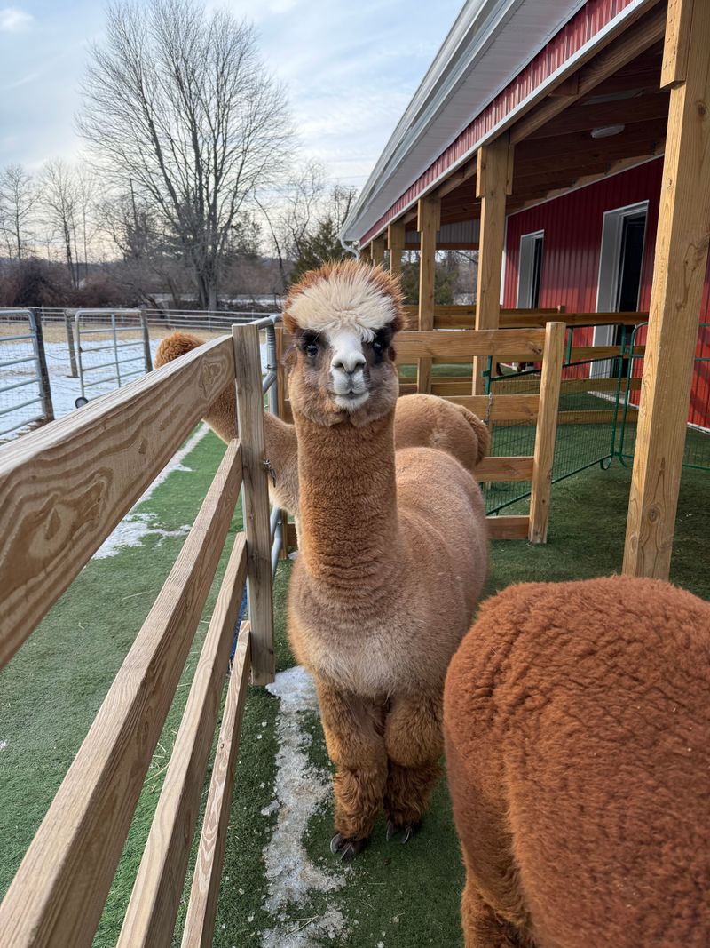 First Impressions and Atmosphere