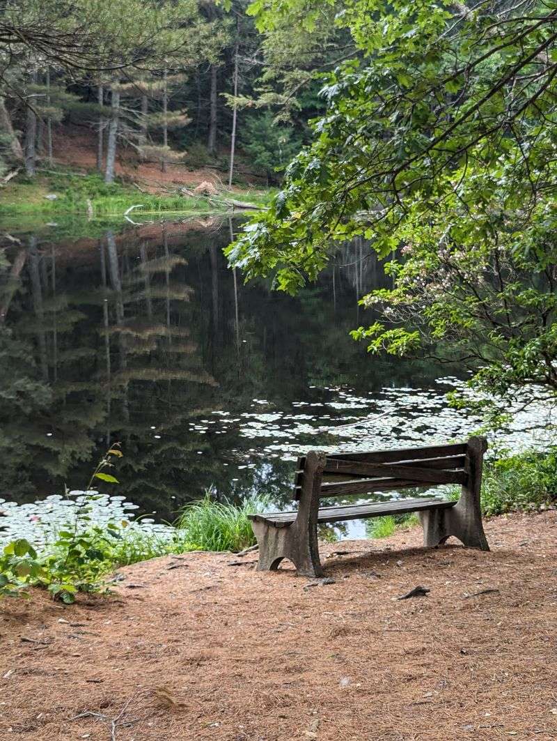 Trail Culture And Courtesy