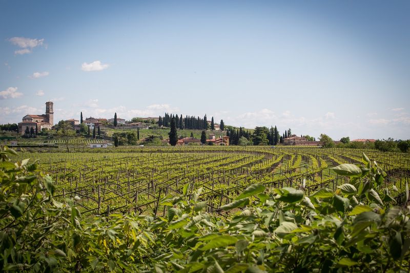 Valpolicella Wine Country — Amarone & Ridge Views