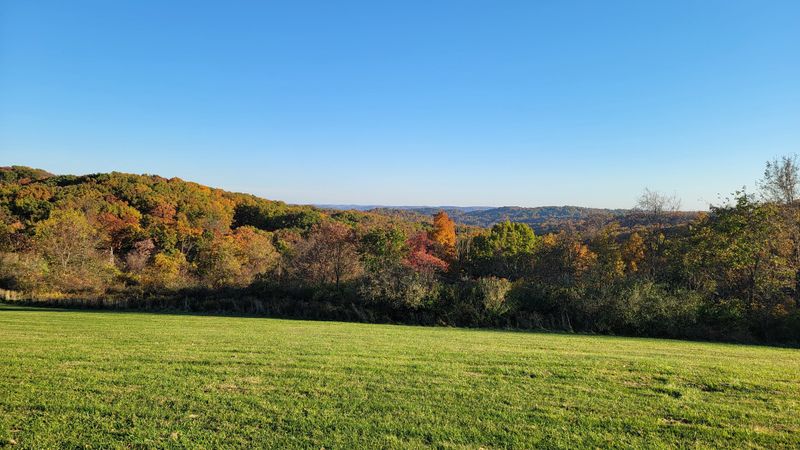 Starry Nights On The Hill
