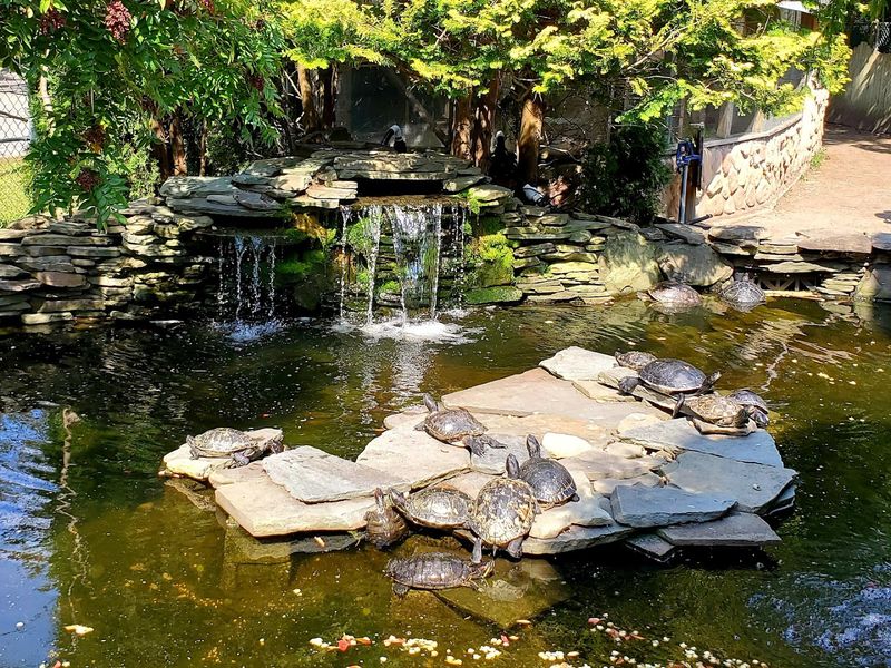 A Walk Through the Grounds