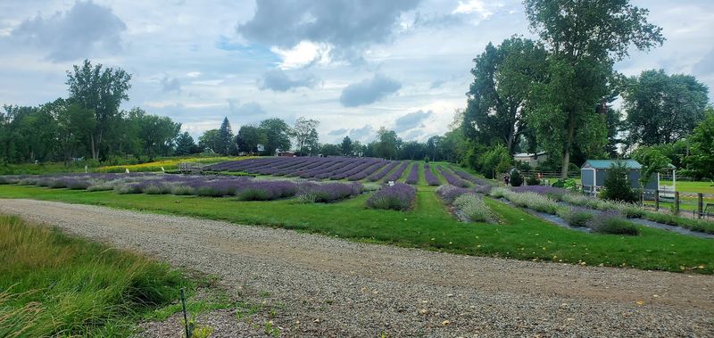 Finding the Fields and First Impressions