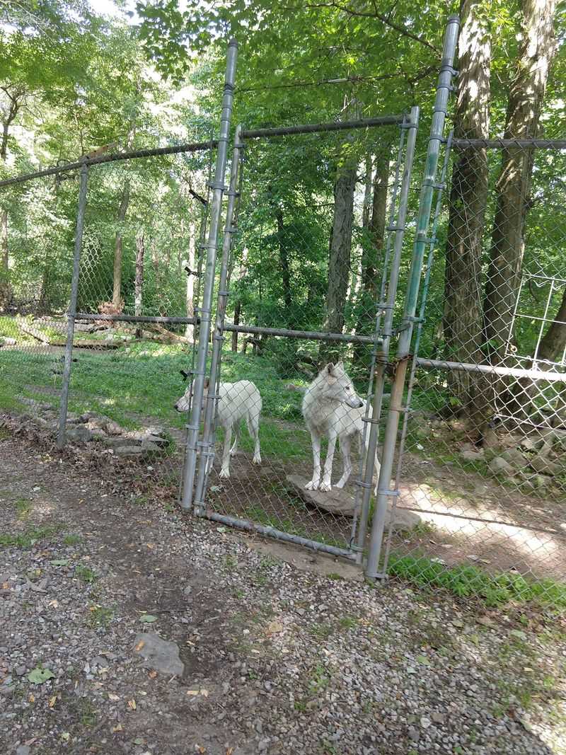 Guided Tour Experience