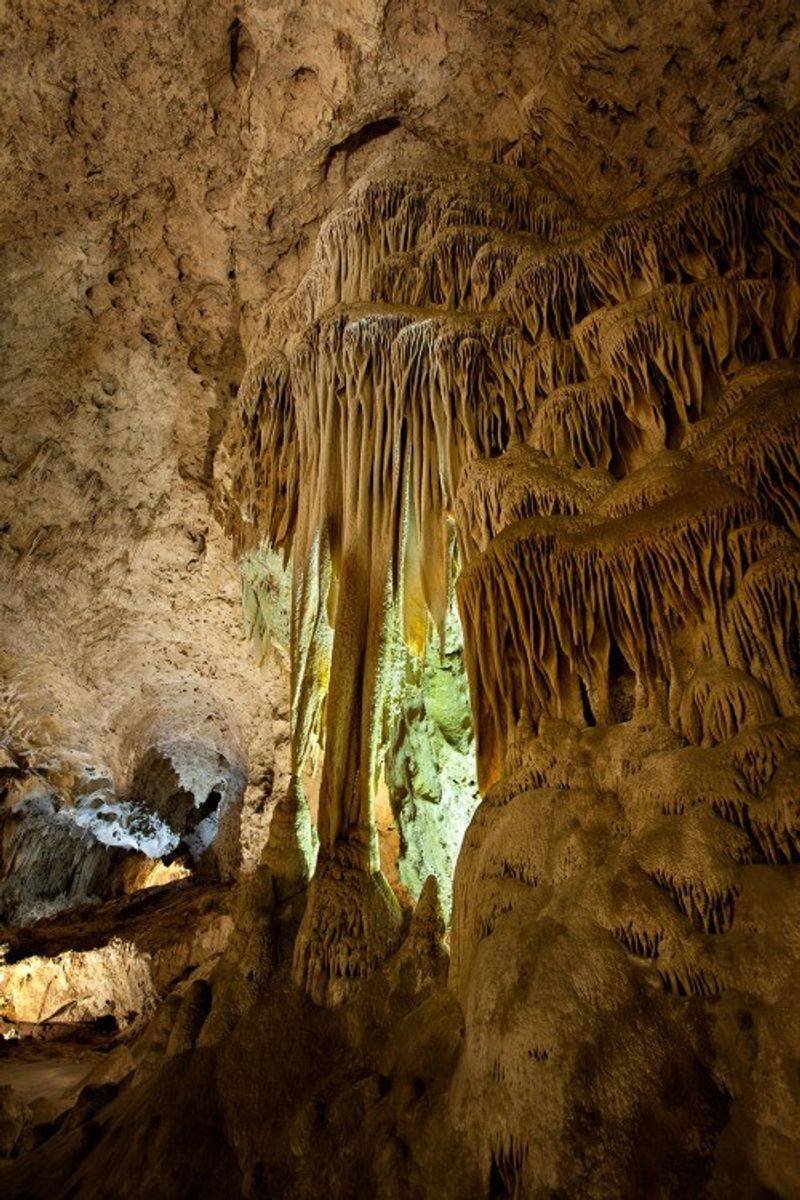 Find Fairyland’s Delicate Details