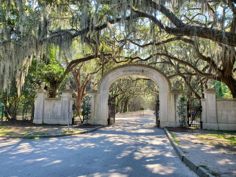 Tour Wormsloe’s Oak Avenue Before Midday Tours Fill