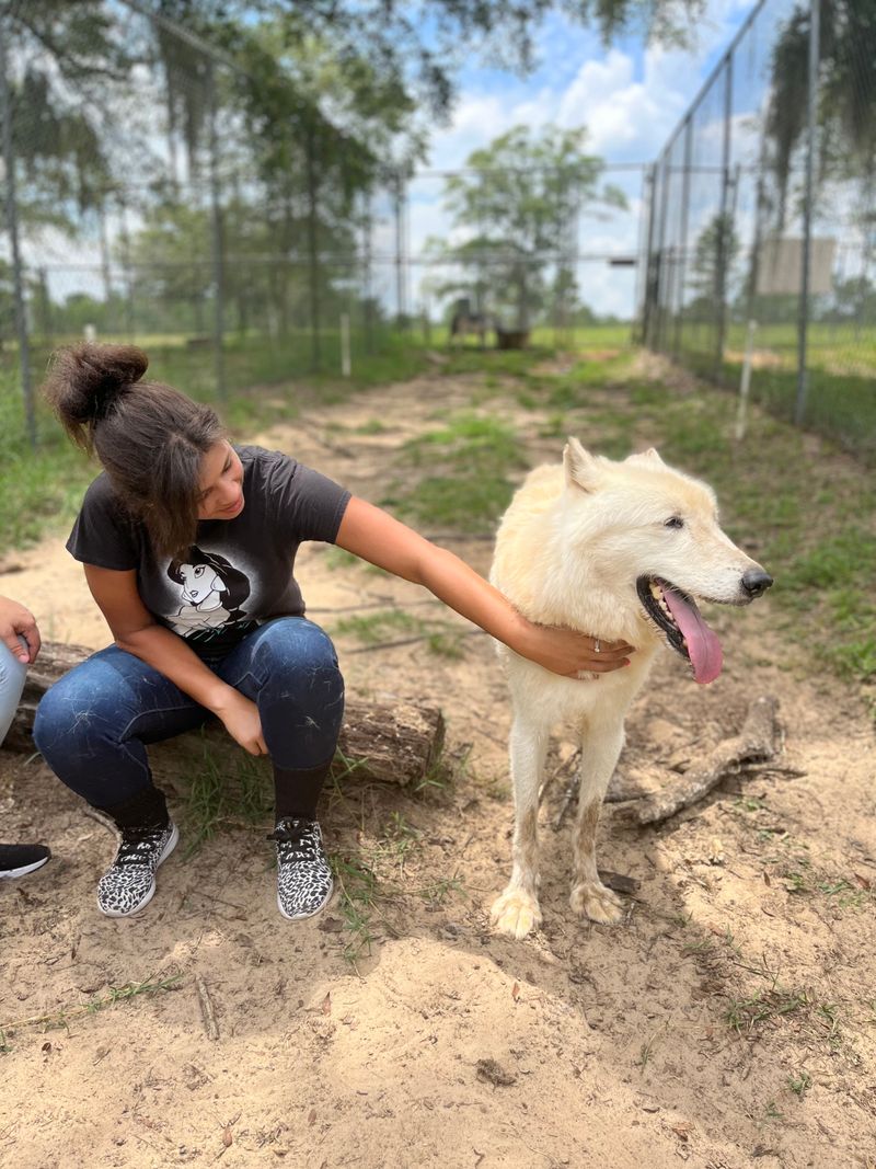 Photography Without Stress