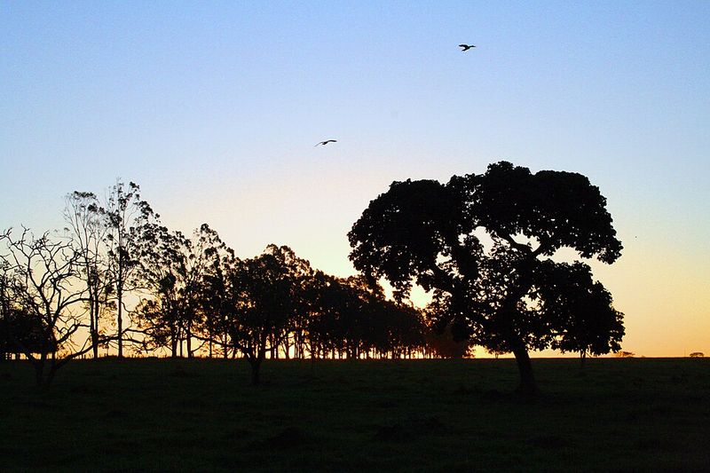 The Real Truth Behind the Myth