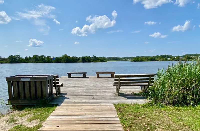 Lake Of The Lilies Interlude