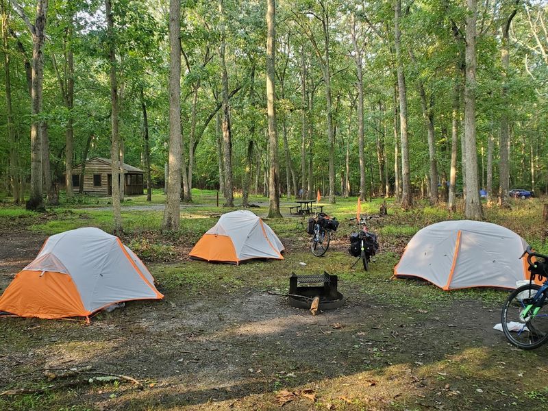 Camping Under the Pines
