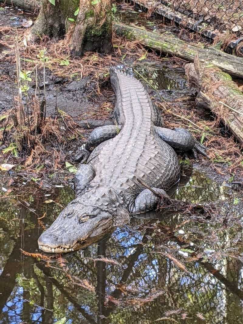 Volunteer Knowledge Enhancing Visits