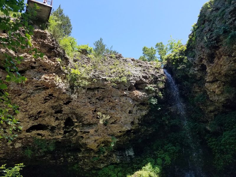 Wildlife and Natural Surroundings