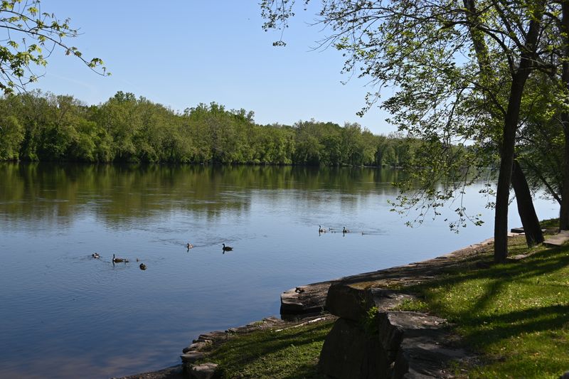 Birdwatching And Seasonal Wildlife