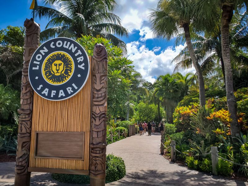 Educational Experiences