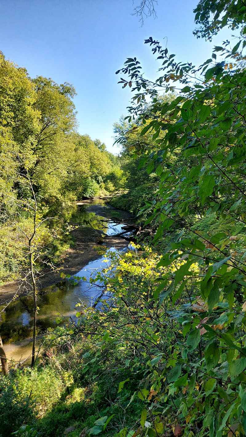 Take a Nature Break at Hickory Hill Park