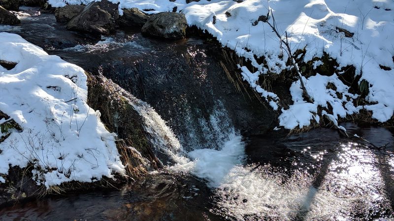 Winter Visits and Off-Season Conditions