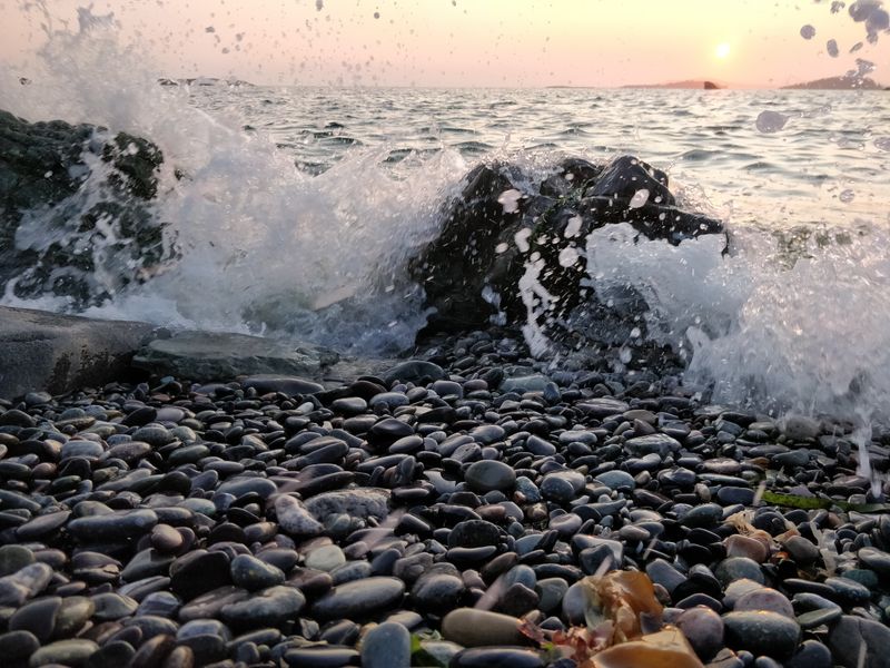 Tidepools, Kelp, and Learning to Look