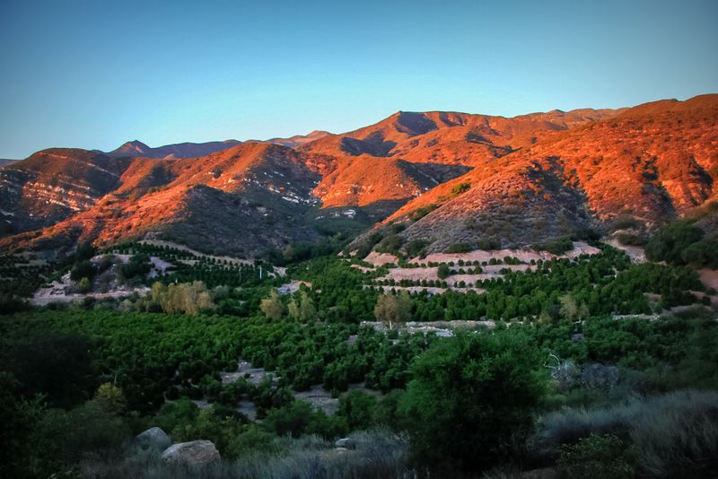 The Iconic Pink Moment Sunset