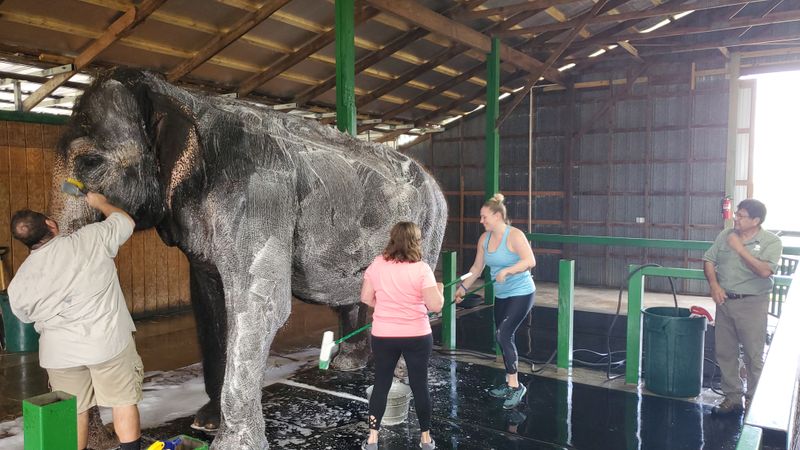 Bathing And Care Demonstration