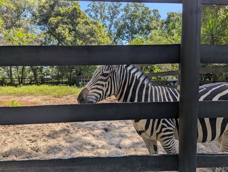 Other Animals Calling the Ranch Home