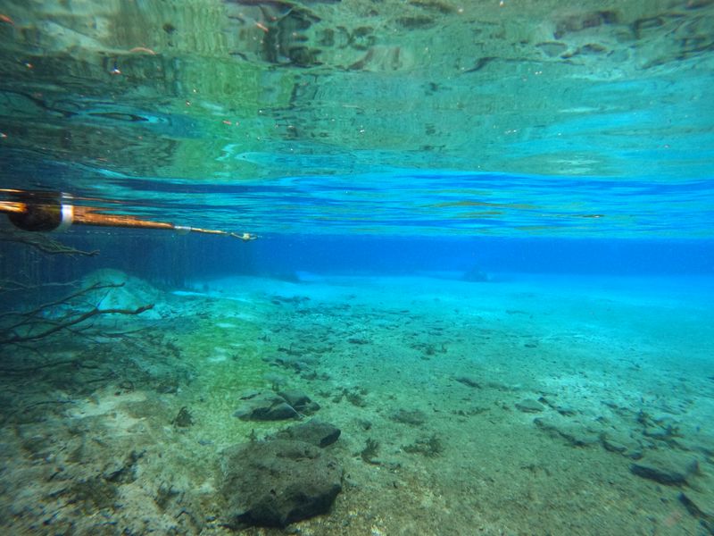 Headwaters at Rainbow Springs State Park