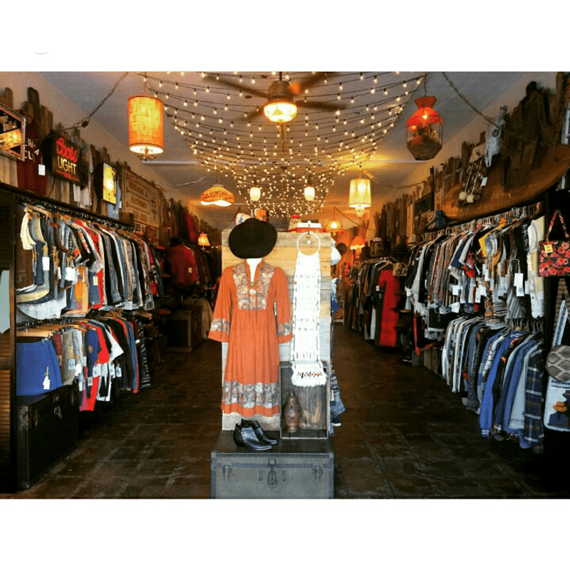 Curated Clothing Highlights