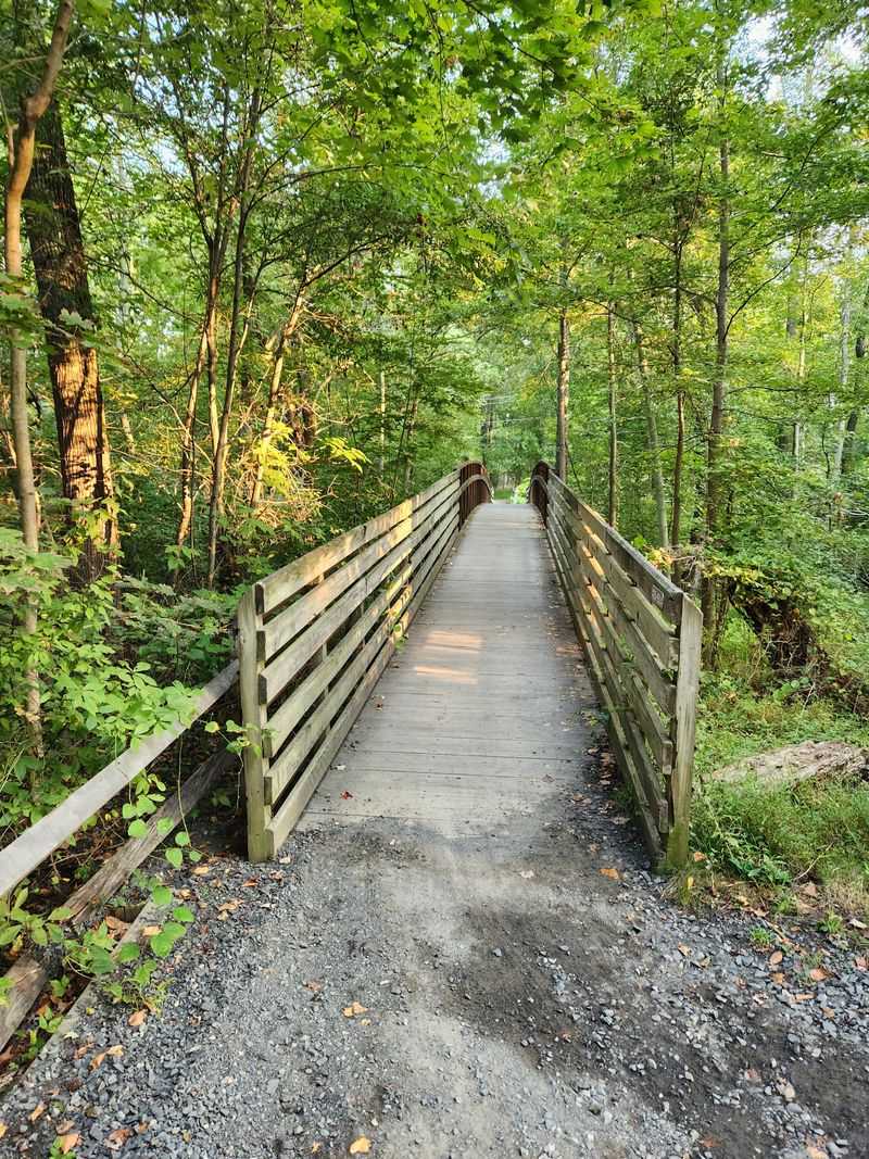 The Five-Mile Rhythm