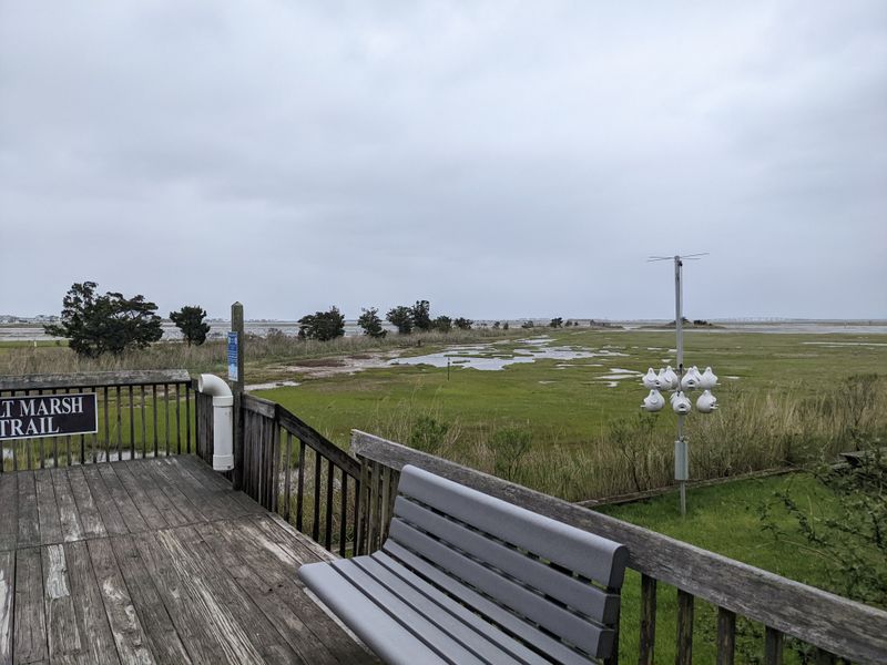 The Elevated Walkway Experience