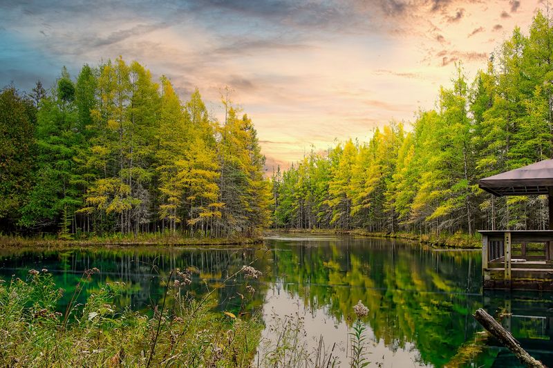 Best Times And Seasons