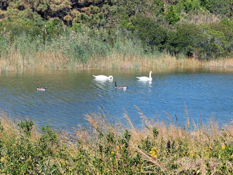 Education Programs and Guided Walks