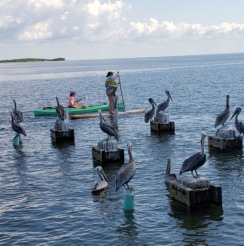 Beach Time at City Park