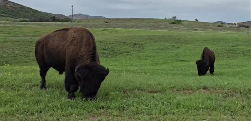 Planning Your Visit: Practical Tips