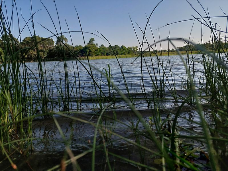 Perfect Picnic Spots Along the Shore