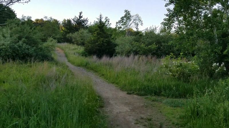 Trails, viewpoints, and those sometimes shy blazes