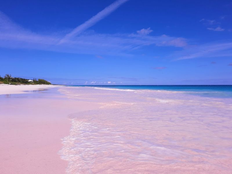Pink Sand Beaches — Bahamas