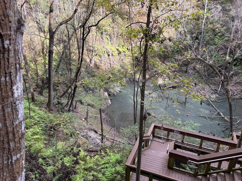 Where Exactly You Will Find This Hidden World