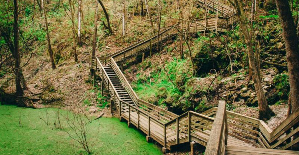 Florida’s 120-Foot Sinkhole Hides A Lush Rainforest And Ancient Fossils