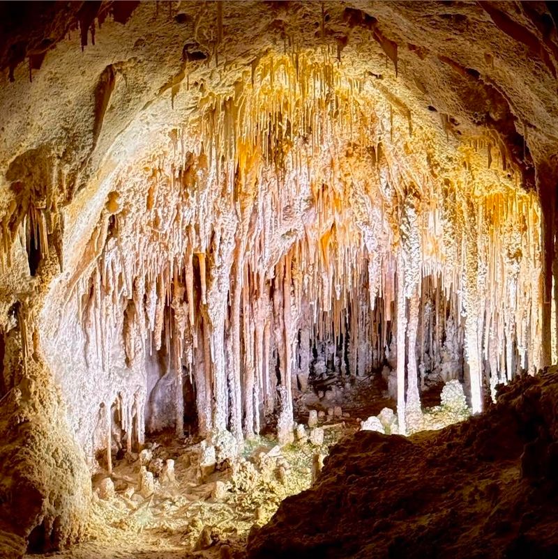 Try the Audio Guide on a Self Guided Tour