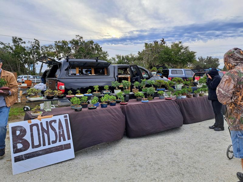 Plant World and Patio Finds