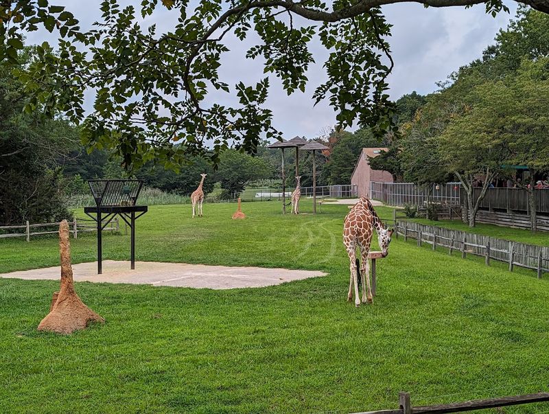 How Long Should You Plan to Stay