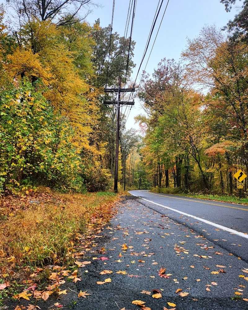 Morning Coffee and an Easy Start