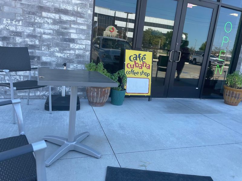 The Patio and the Dog-Friendly Atmosphere