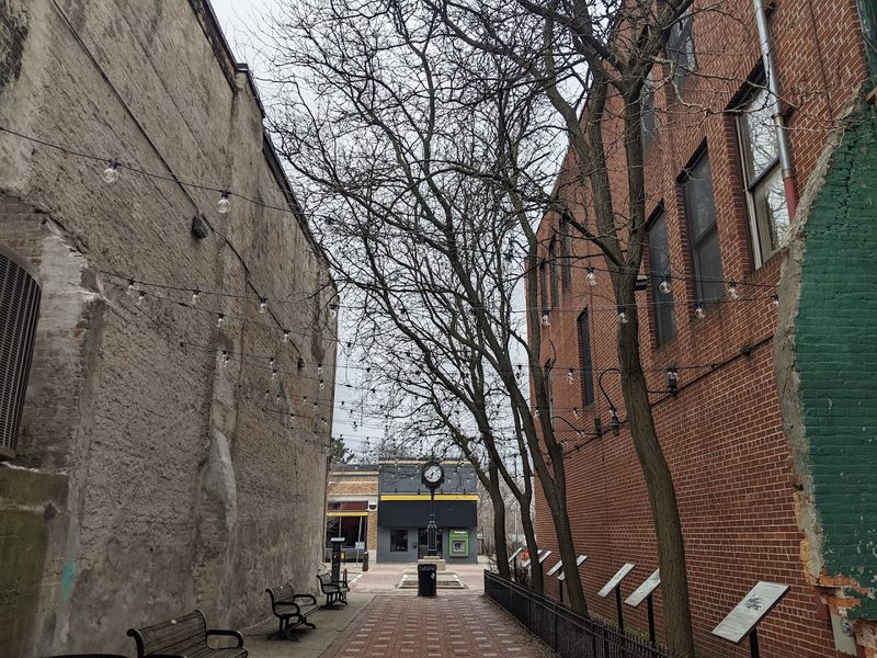 Eastern Michigan University's Influence on the Neighborhood