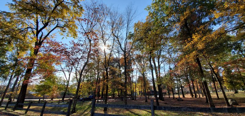 Long Trail Weave (2 miles)