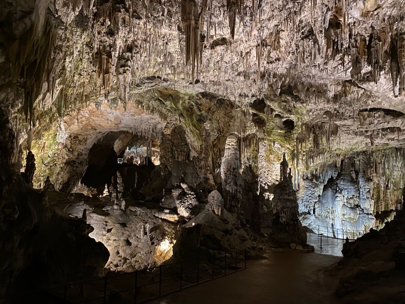Postojna Cave — Slovenia's Subterranean Realm