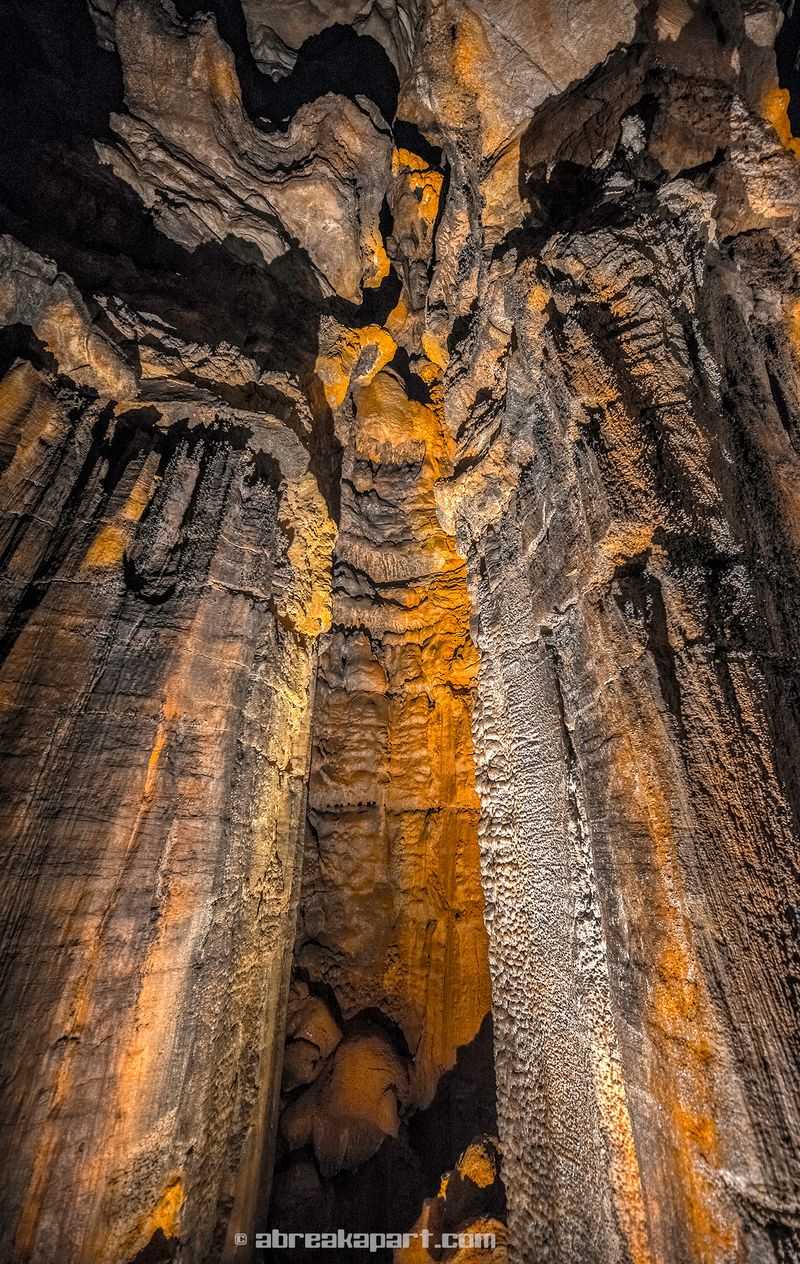 Rich subterranean biodiversity