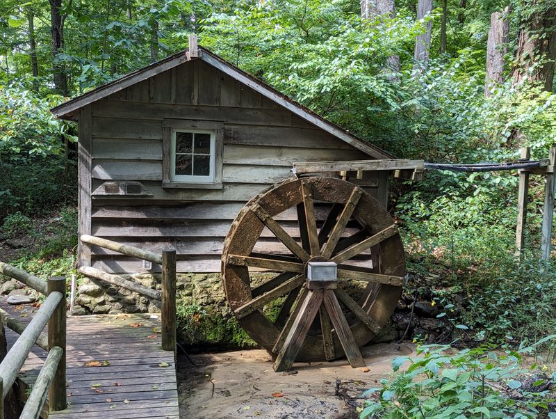 Prairie Restoration: Where Wind Writes In Tallgrass