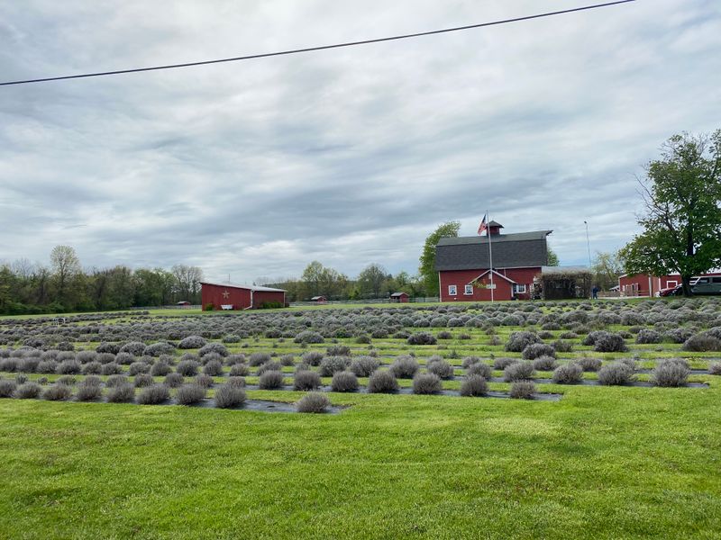 Seasonal Events and Quiet Days